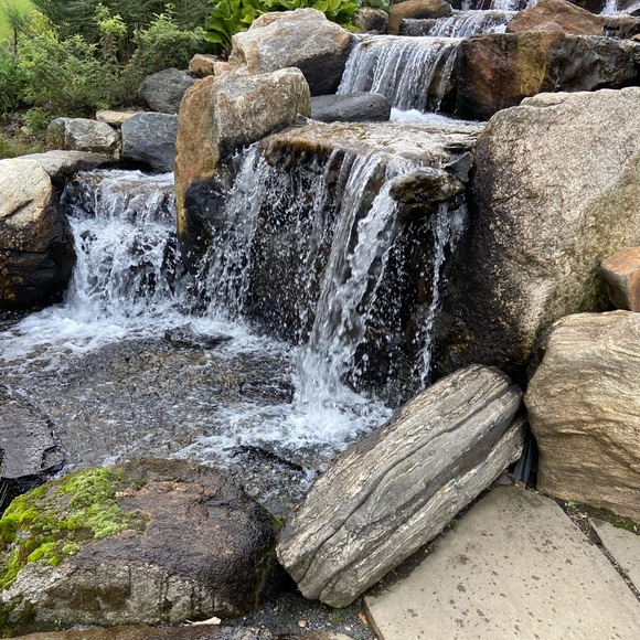 New Yorker - Picture 1 of 1